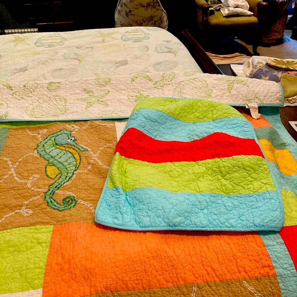 Two Twin quilts and shams